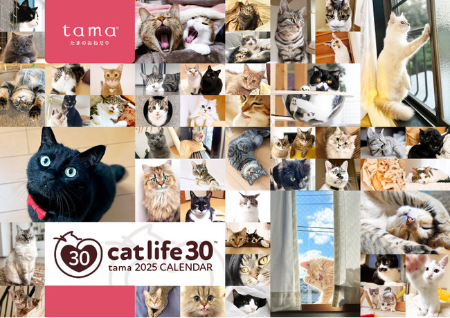 「tamaオリジナルカレンダー2025」をプレゼント(先着5,000部)