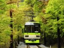 新緑の「もみじのトンネル」を走る「青もみじきらら」 ９０１－９０２号車