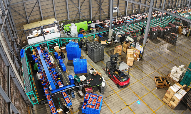 日本農業が青森県産りんごの製造体制を拡大！オランダ・GREEFA社製の大型選果機導入で約2.5倍の選果量を目指す