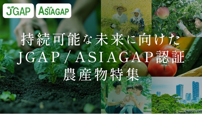 「JALふるさと納税」に持続可能な農業を応援するGAP認証農産物特設ページを公開!