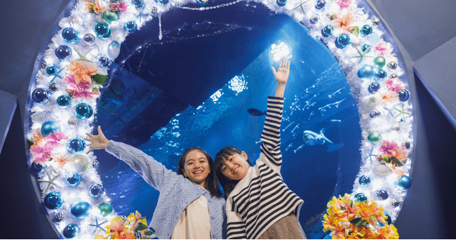 【DMMかりゆし水族館】沖縄の水族館で特別なクリスマス体験！「DMMかりゆし水族館クリスマスドリーム 」11月15日（金）より開催