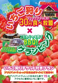 冬の日光でグランピング＆いちご狩りを満喫！「ブリリアントヴィレッジ日光」で限定プランがスタート！幻想的なイルミネーションにあわせクリスマスプランも同時発売