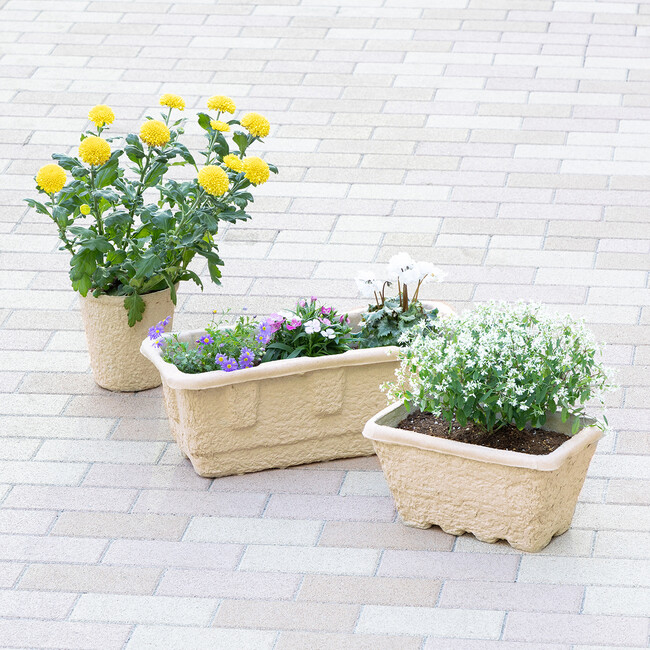 アスクルカタログの再資源化で生まれたパルプモールドタイプのFlowerpot(3種)、販売開始