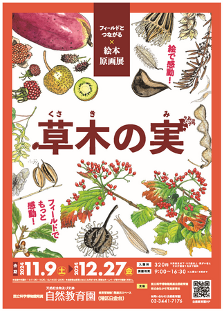 【国立科学博物館 附属自然教育園】企画展「草木の実＜フィールドとつながる絵本原画展＞」開催のお知らせ