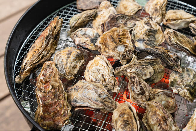【11月16日】兵庫県の自然あふれる〈森林王国〉宍粟市に海の幸を堪能できる「牡蠣小屋」がオープン！！　ウッドデザインパーク与位