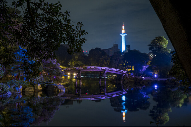 11/16より１ヶ月限定で秋の夜の京の庭園を幻想的にライトアップ　京都・東本願寺内　300年の歴史を持ち普段は非公開の日本庭園で　和舟や書道など特別な和の体験を楽しめる『渉成園秋灯り』開催
