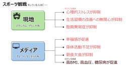 スポーツを観るとこころが元気に！現地観戦はもちろんメディア観戦でも―世界初！スポーツ観戦の長期的な健康効果を解明―