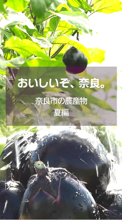 奈良市地産地消プロモーション事業 ショート動画シリーズ「おいしいぞ、奈良。」を公開しました!