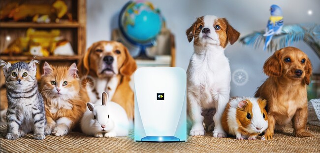 動物病院の収益増に！ 院内に空気清浄機を置くだけの『OKUDAKEビジネス』、専用サイトオープン