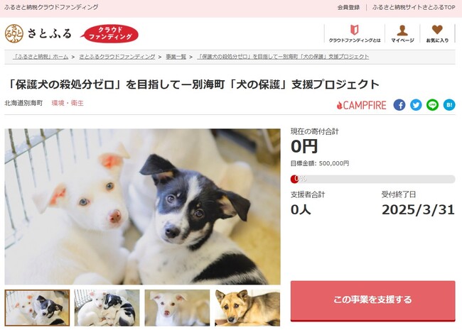 北海道別海町とさとふる、「保護犬の殺処分ゼロ」を目指し迷子犬の一時的な飼育環境を提供するため、寄付受け付けを開始