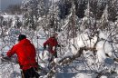 (2)北国の想像を絶する豪雪にも負けず、枝木に積もった雪を降ろす農園の方々