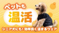 F's WISH【電気を使わないから安心】愛犬の健康を守る遠赤外線機能性ウェア「テラペット ぬくぬくウエア」新発売