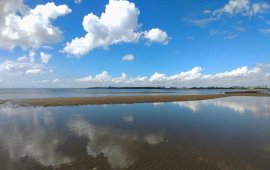 葛西海浜公園の美しい干潟