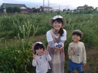 千葉県野田市の数藤農園、ブルーベリー観光農園の開園支援を募るクラウドファンディングをCAMPFIREにて12/31まで実施中！