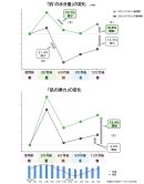 【研究成果1】「肌の水分量」「弾力」の変化