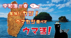 美味いカツを食べてウマ勝つ！引退馬支援にむけてウマ活！愛媛県の宇和海の幸！美味しいじゃこ天とじゃこカツ。クラウドファンディングスタート