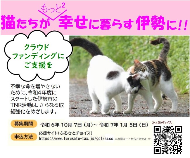 不幸な命をこれ以上増やさないために-伊勢市のＴＮＲ活動、猫の不妊去勢手術推進事業への寄附をお願いします