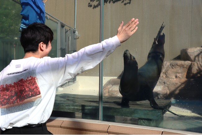 サンシャイン水族館が贈る2025年の新年初体験！25,000円で25個限定のプレミアム福袋 水族館貸切や飼育スタッフ体験など、ここでしか味わえない「特別な時間」をお届け