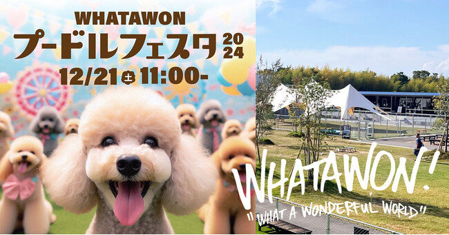 公式アンバサダー『アルくん・ボンドくん』登場！12/21(土)【WHATAWON プードルフェスタ 2024】ファッションショー参加者の募集を開始。