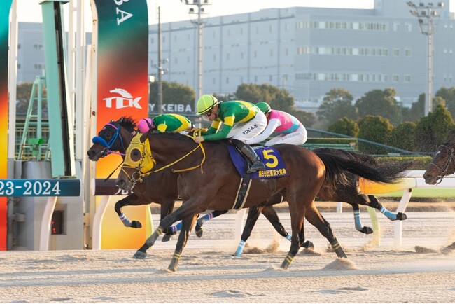 12月29日(日)は今年最後のGIレース「東京大賞典」!フジテレビ系列4局での生中継が決定!