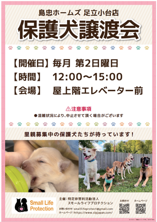 【島忠】ホームズ足立小台店　12月8日（日）より保護犬譲渡会を定期開催します