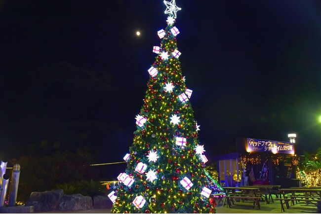 伊豆高原グランイルミ ～10th Anniversary～巨大クリスマスツリーが登場！「クリスマスツリーの日」 記念キャンペーンを開催