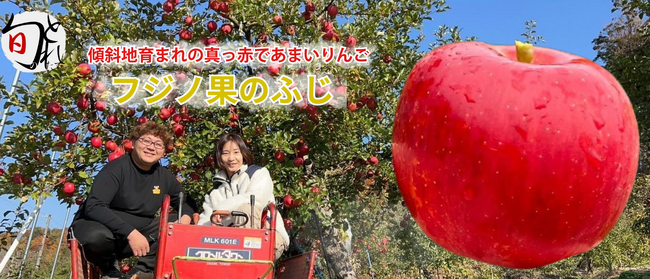 【減農薬栽培実施】寒暖差の激しい秋田県横手盆地の傾斜地で育った真っ赤であまいりんご「フジノ果のふじ」を販売開始しました。【秋田を贈るECサイト　詩の国商店】