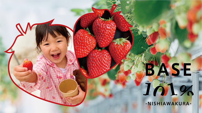 『イチゴの日=1月5日』に、 いちご狩りがスタート。予約受付を開始。