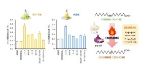 【名城大学】ニンニクやタマネギなどに含まれる成分が、調理過程でトランス脂肪酸の生成を促進する事実とその抑制方法を発見！