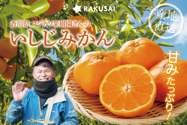 冬の定番!産地直送でお届け