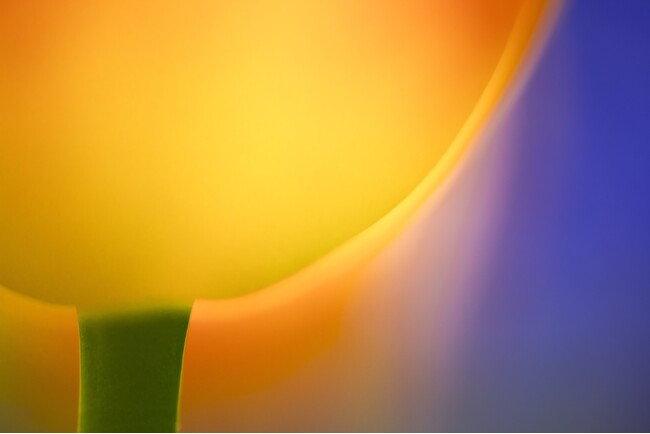 アイデムフォトギャラリー［シリウス］小宮山豊　写真展「光ものがたり」期間：2024年12月12日(木）～12月18日（水）