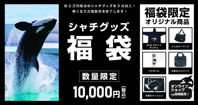 【鴨川シーワールド】鴨川シーワールドのシャチグッズ福袋が登場！2024年12月12日（木）『シャチグッズ福袋』販売開始！