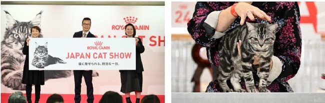 ロイヤルカナン ジャポン主催「ジャパンキャットショー」に2,700名が参加