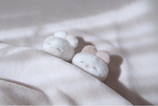 SNSで大人気のぬいぐるみ作家・REMMEさんの「うさぎのねむちゃん」ぬいぐるみが、初絵本、ステッカーとセットでカドスト（旧カドカワストア）限定販売決定！　ただいま予約受付中。