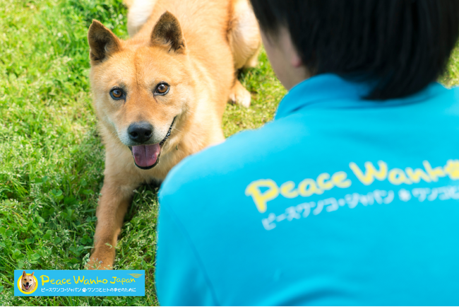 ピースワンコ ・ジャパン　法務省広島矯正管区にて”受刑者の改善更生に向けた日本初の取り組み” 保護犬育成プログラムをスタートします！