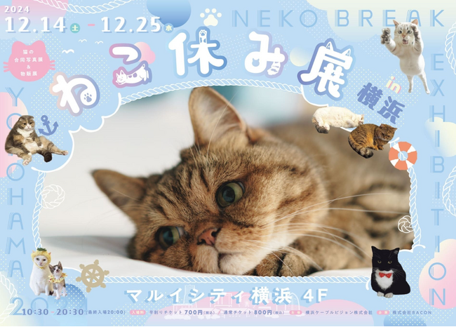 人気猫クリエイター作品が大集結♪ 累計２００万人が癒された猫の祭典「ねこ休み展 in 横浜」開催！