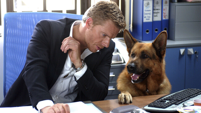 2025年は新たなレックス・シリーズがやってくる！賢くて可愛いスーパーワンコ、レックスが活躍するポリス・アクションドラマシリーズから、新たな「〇〇&レックス」が続々登場