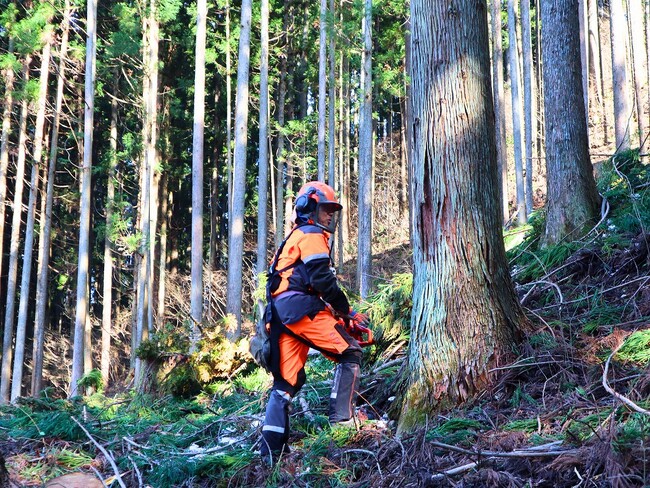 「モクコレ2024」に初出展