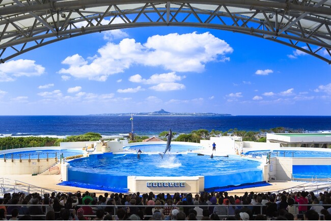 【沖縄美ら海水族館】2024年12月16日より「オキちゃん劇場」再開！！