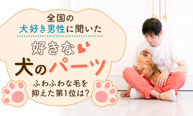 全国の犬好き男性に聞いた「好きな犬のパーツ」ふわふわな毛を抑えた第1位は？