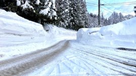 凍結した道路