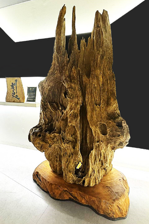 銀座に1,300年ものの屋久杉オブジェ「千三百年龍」を特別展示！2024年12月20日よりお披露目開始！