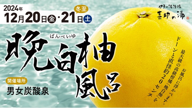 【喜助の湯】直径約20ｃｍ！香り豊かな「晩白柚風呂」で冬の癒しをお届け！【愛媛県 松山市 今治市】