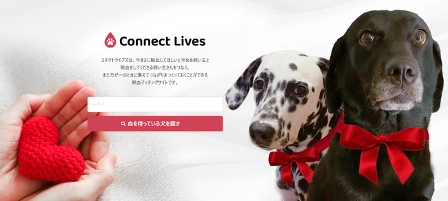 輸血が必要な犬の命を救う、新たな選択肢が誕生　わんちゃんのための献血マッチングサイト「Connect Lives」