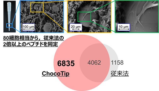 極微量ペプチド用ピペットチップ型カラム「ChocoTip」の開発
