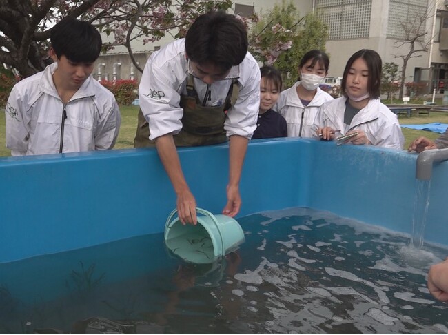 廃材を再利用し子どもたちの“学び”に！浜名湖体験施設ウォット中庭「水槽でアマモを増やす大実験」の説明看板が完成