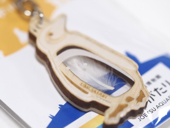 【上越市立水族博物館 うみがたり】愛着を育む「愛の羽」！『ペンギンの羽キーホルダー』販売開始！【令和６年１２月２４日（火）～】