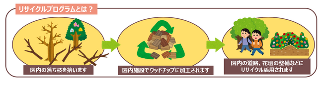 【社会貢献活動】落ち枝拾いで樹木リサイクル！環境活動イベントを開催しました