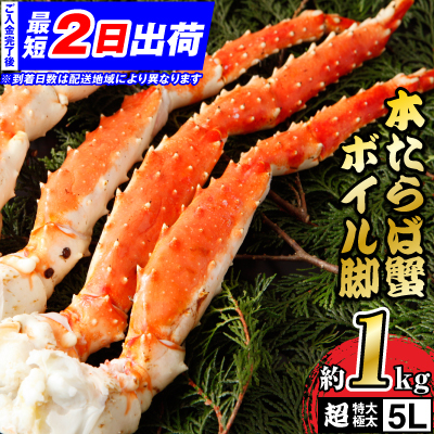 【ふるさと納税お礼品トレンド】2024年の締め切り目前、駆け込みのお礼品選びをサポート