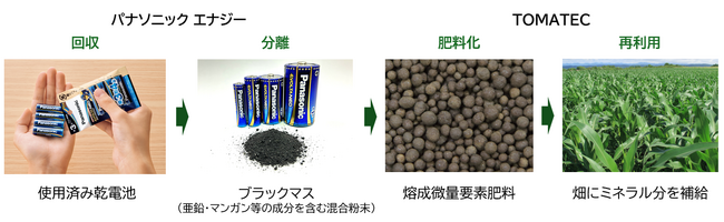 TOMATEC × パナソニック エナジーパナソニック エナジー乾電池由来の微量要素肥料を共同開発、使用済み乾電池を肥料原料にリサイクルするプロセスを確立